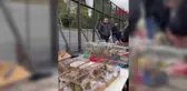 Yasa Dışı Kuş Ticaretine Büyük Darbe