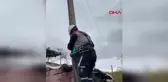 Adıyaman'da Elektrik Direğine Çıkan Yavru Kedi Kurtarıldı