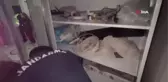 Malatya'da Silahlı Soygun: 3 Kişi Yakalandı