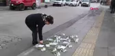 Burdur'da Kamyon Kazasında Hayatını Kaybeden Öğrenci Anısına Çiçek ve Fotoğraf Konuldu