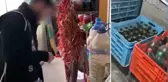 Yılbaşı öncesi 81 ilde kaçak içki operasyonu! 23 ton sahte alkol ele geçirildi