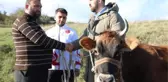 SPOR İnek parası ile katıldığı şampiyonadan Avrupa 3'üncüsü olarak döndü