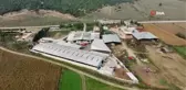 İki kardeş mühendisliği bırakıp çiftlik kurdu