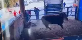 Amasya'da mezbaha çalışanı boğanın saldırısı sonucu hayatını kaybetti