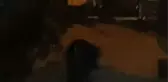 Pitbull Köpek Çocukları Isırarak Yaraladı