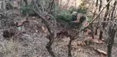DİYARBAKIR'DA TERÖR OPERASYONU; 427 KİLO ESRAR VE MÜHİMMAT ELE GEÇİRİLDİ