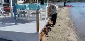 Bodrum'da Kıyı İşgali Söküm İşlemleri Başladı