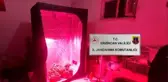 Erzincan'da iklimlendirme sistemiyle kenevir yetiştiren kişi gözaltına alındı