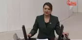 TBMM'de Bütçe Görüşmeleri... Gökçe Gökçen: 