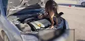 Aracın motorunda uyuşturucu çıktı