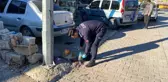 Kilis Belediyesi Zabıta Müdürlüğü Sokak Hayvanlarına Mama ve Su Dağıtıyor