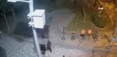 Ümraniye'de köpeklere silahla ateş eden sanığın yargılanması devam ediyor