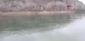 Köpek Kızılırmak Nehri'nde Mahsur Kaldı, İtfaiye Kurtardı