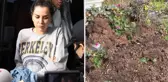 Hırsızlar, Dilan Polat'ın annesinin mezarını kazdı