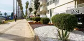 Antalya Büyükşehir Belediyesi Konyaaltı Caddesi'nde Kurakçıl Peyzaj Çalışması Yaptı