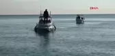 Antalya Kıyılarında Bir Yavru Akdeniz Foku Ölü Bulundu