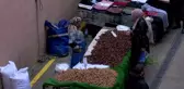 Esenler'de Çin Kestanesi Denetimi