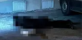 Mardin'de Boşandığı Eşi Tarafından Öldürülen Kadının Cinayeti Ortaya Çıktı