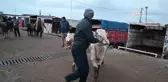 Yozgat'ta Şap Hastalığı Nedeniyle Canlı Hayvan Pazarları Kapatıldı