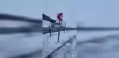 CHP Milletvekili, Ulaştırma Bakanını İstifaya Davet Etti