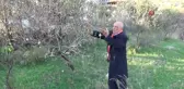 Mersin'de badem ağaçları çiçek açtı