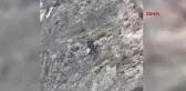 Amasya'da Mahsur Kalan Keçi AFAD Tarafından Kurtarıldı