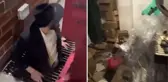 ABD'yi ayağa kaldıran gizli tünel görüntülendi! Amaçlarına dair mide bulandıran iddialar var