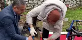 Arabanın çarptığı sokak köpeği gönüllülerin desteği ile hayata tutundu