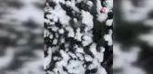 Çankırı'nın kuzey kesimlerinde kar yağışı etkili olmaya başladı