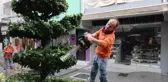 Marmaris Belediyesi Park ve Bahçeler Ekipleri Budama Çalışmalarına Devam Ediyor