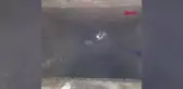 Şanlıurfa'da 13 yaşındaki çocuk rögara düştü, itfaiye ekipleri kurtardı