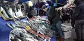 Hava Şartları Balık Fiyatlarını Etkiledi