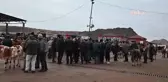Yozgat'ta Şap Hastalığı Nedeniyle Canlı Hayvan Pazarları Kapatıldı