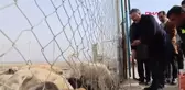 IĞDIR Valisi ve Belediye Başkan Vekili Ercan Turan, Hayvan Barınağını Ziyaret Etti