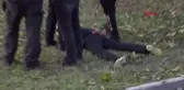 Antalya'da psikolojik rahatsızlığı olan kişi annesini öldürdü, tahliye edildi