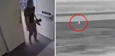 Uçağa binmek için kapıyı kırıp piste dalan yolcunun feci sonu
