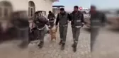Mola yapan işçiler köpekle halayı kamerada