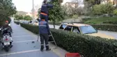 Marmaris'te Turunç Dağıtımı