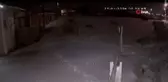 Şehre inen aç kurtlar, köpeğe saldırdı