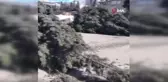 Kahramanmaraş'ta şiddetli rüzgar ağaçları kökünden söktü