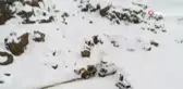 Erciş'te yaşlı hasta kadın için ekipler seferber oldu