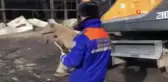 Kırgızistan'da santraldeki patlamanın 3'üncü gününde enkazdan bir köpek kurtarıldı