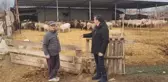 Edirneli Küçükbaş Hayvan Üreticisi Yem Fiyatlarının Yüksekliğinden Şikayetçi