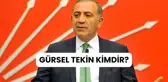 GÜRSEL TEKİN KİMDİR? Gürsel Tekin nereli, kaç yaşında?