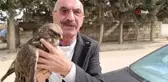 Yaralı bulunan kızıl şahin tedavi altına alındı