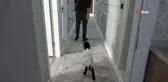 Sahiplendiği kuzuyu biberonla besleyip, birlikte televizyon izliyorlar