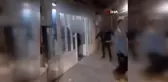 Pet shopta düzensiz göçmen operasyonu
