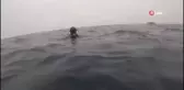 Marmara Denizi'nde kayıp mürettebatı arama çalışmaları 15. gününde devam ediyor