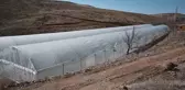 Yozgatlı çiftçi serada sebze üretimi yapıp, daha ucuza tüketiciye sunuyor