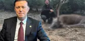 AK Parti'nin Eskişehir adayı Nebi Hatipoğlu'nun geyik ve yaban domuzu avladığı görüntüler ortaya çıktı